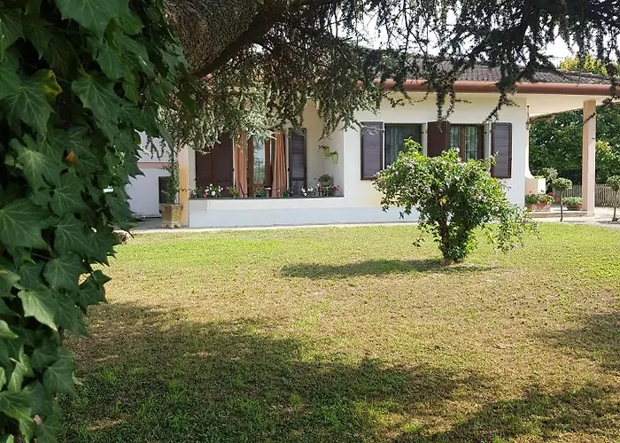B & B Cedro Argentato