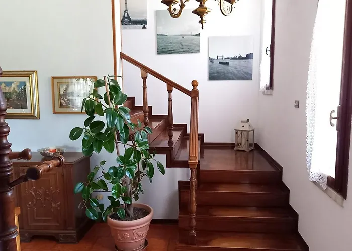 B & B Cedro Argentato