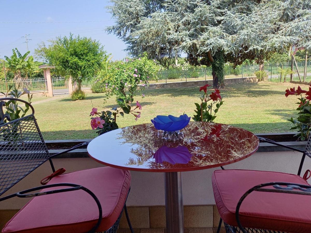 Cedro Argentato Country house