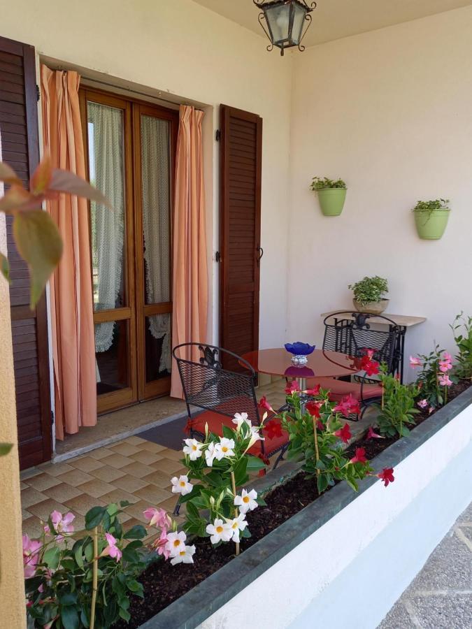 Cedro Argentato Country house *