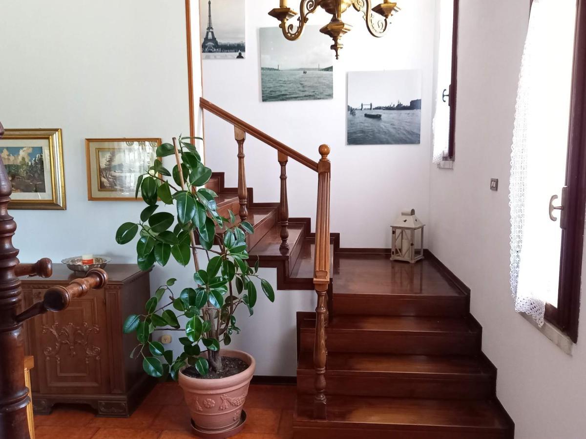 Cedro Argentato Country house *